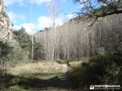 Parque Natural del Barranco Río Dulce;senderismo pirineo senderismo valencia rutas